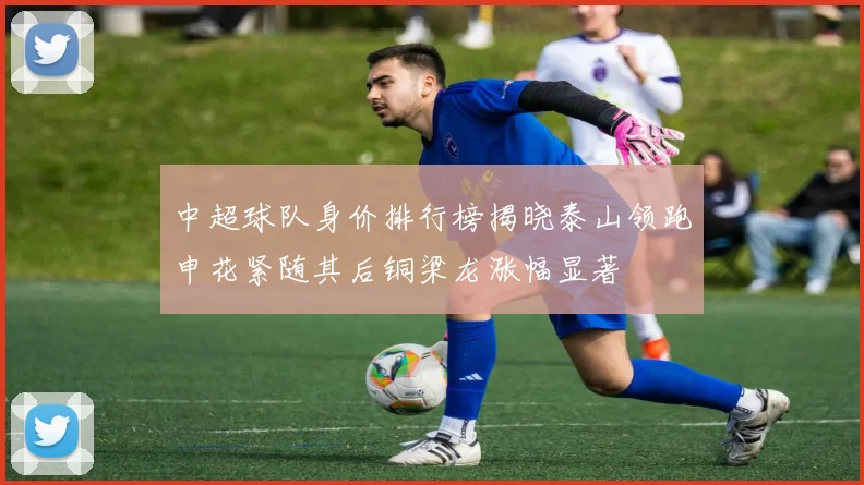 中超球队身价排行榜揭晓泰山领跑申花紧随其后铜梁龙涨幅显著