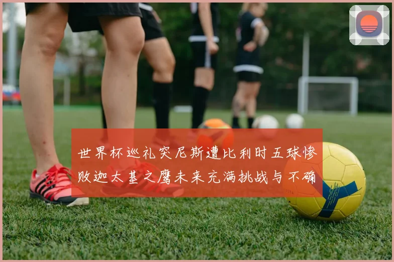 世界杯巡礼突尼斯遭比利时五球惨败迦太基之鹰未来充满挑战与不确定性